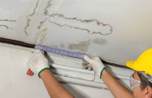 Reliable Water Damage contractor in Concord, VA by Water Damage Irwin
